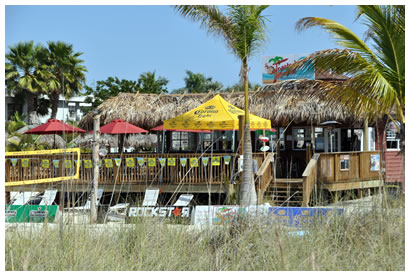 Toasted Monkey Beach Bar St. Pete Beach